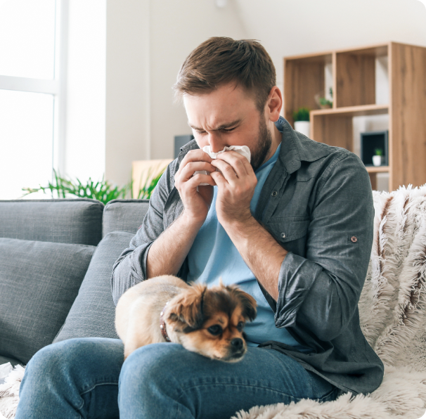 What Causes Allergic Reactions